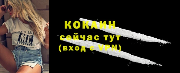тгк Дмитров